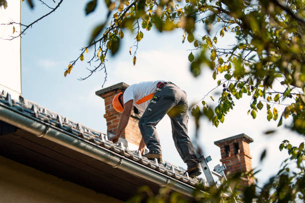 Best Roof Restoration Services  in Chatham, VA