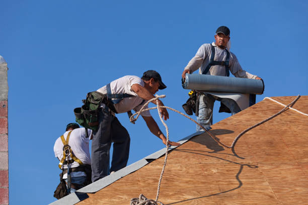 Best Roof Gutter Cleaning  in Chatham, VA
